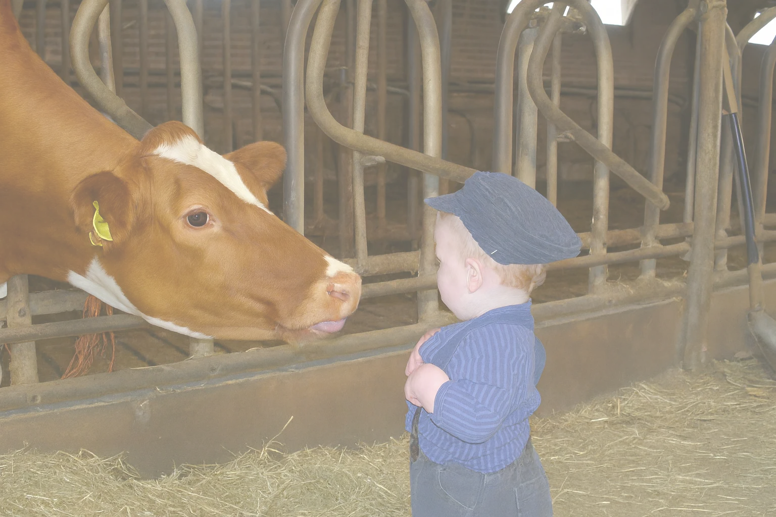 Puur Natuur van Onze Boerderij